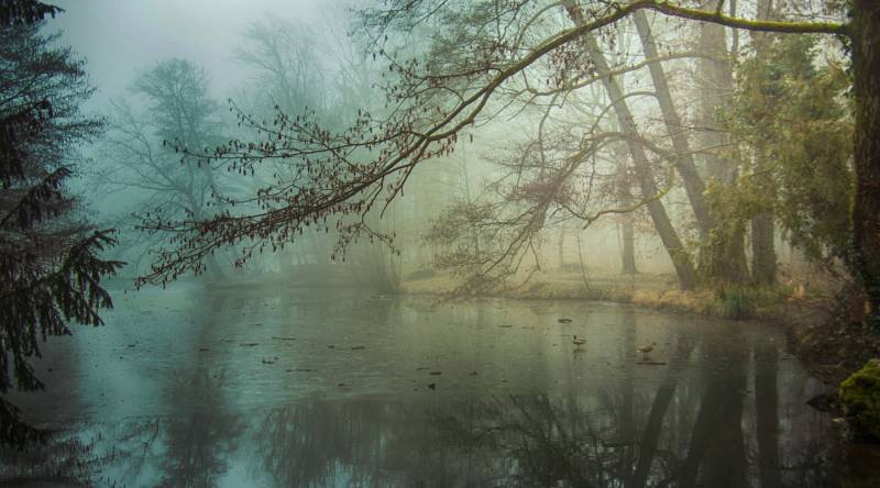 Misty Morning On The Lake, Lovric  Zrinka , Croatia