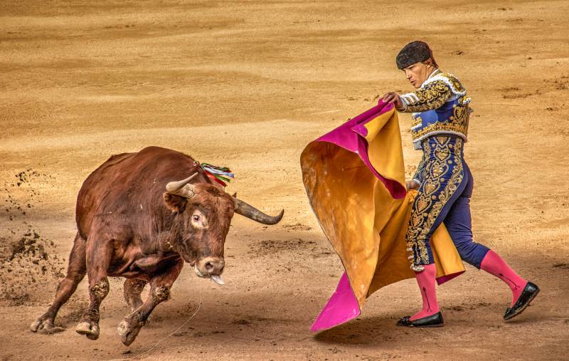 The Matador And Bull, Boytell  Kerry , Australia