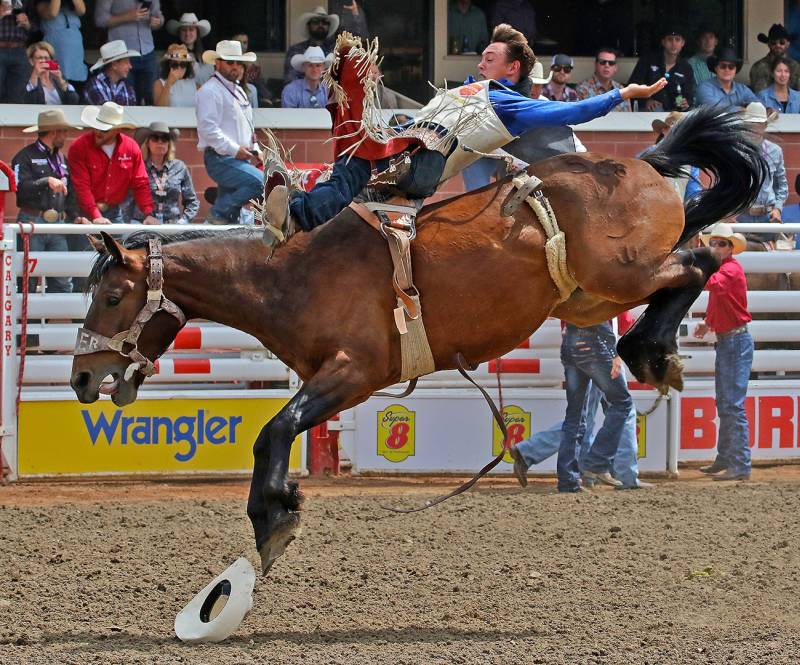 Cowboy On Bucking Horse 9761, Stricker  Charles , Usa