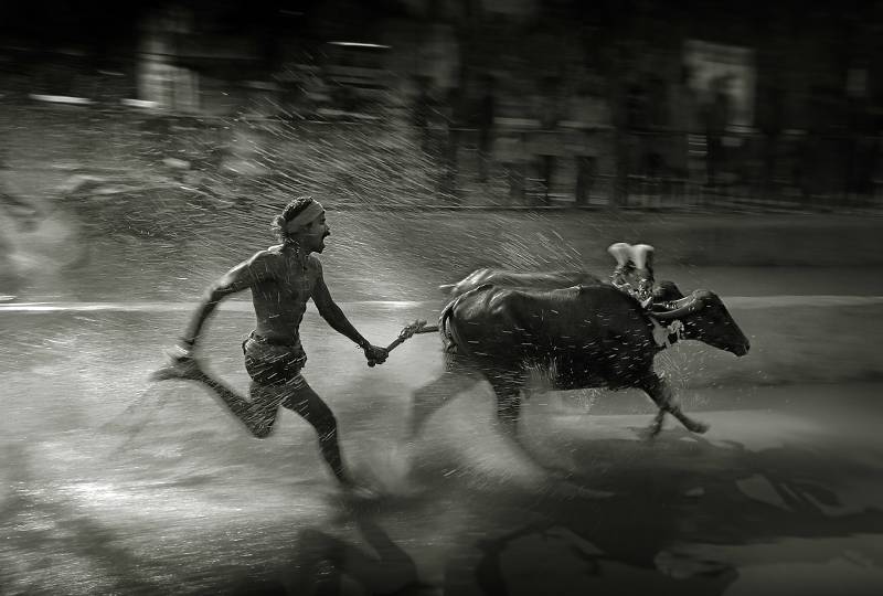 Jockey Of Kambala, Kumar  Ashok , India