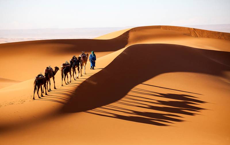 A Journey In The Sahara, Lee  Chun Woo , South Korea