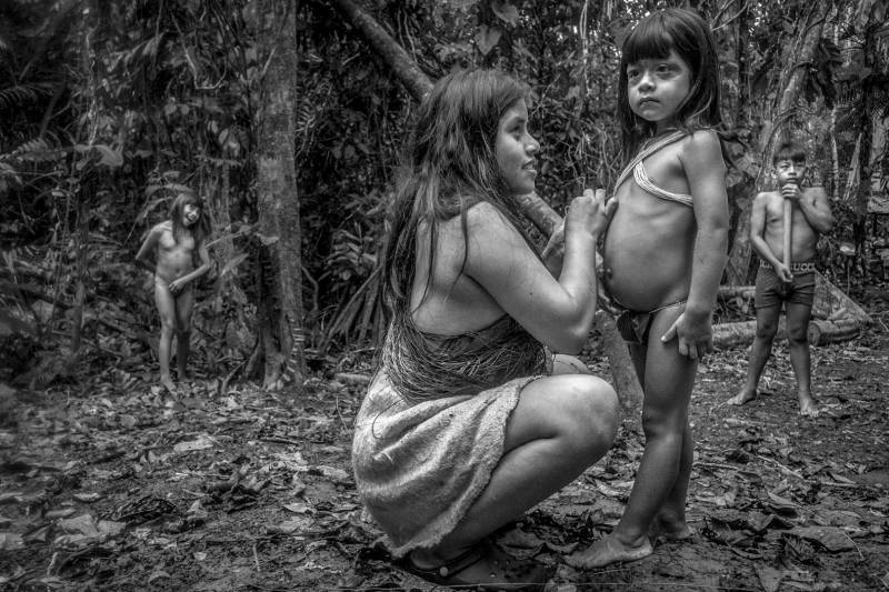 In Amazon Rainforest42, Chiu  Bob , Usa